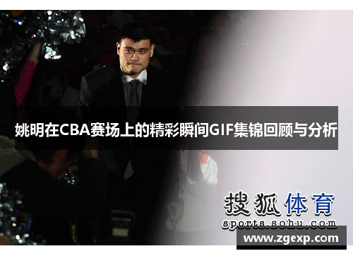 姚明在CBA赛场上的精彩瞬间GIF集锦回顾与分析